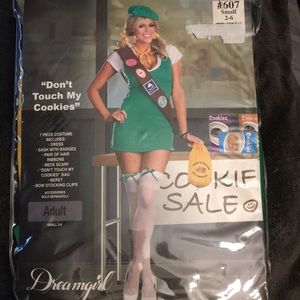 Girl Scout Cookie Costume